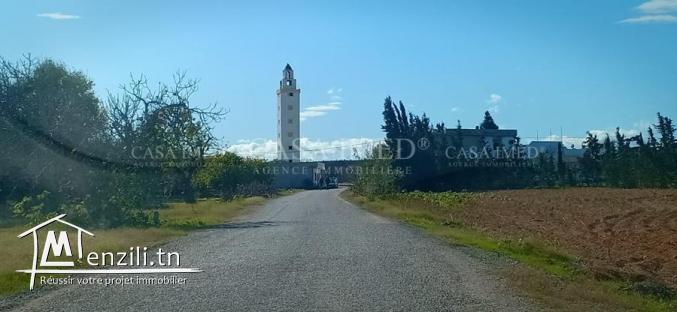 أراضي قريبة للبحر في الحمامات..28910825