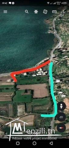 TERRAIN A SIDI ALI EL MEKKI