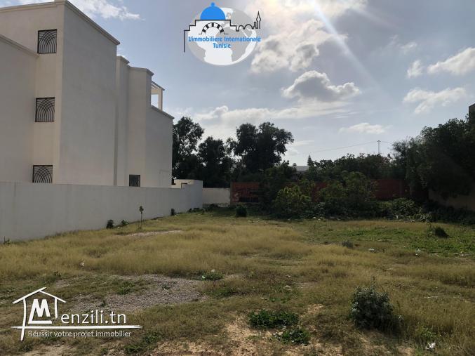un terrain à vendre chott meriem