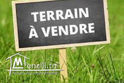 Terrain a Hammem lif