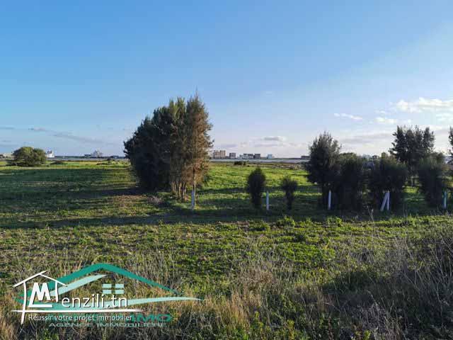 terrain 500 m² a Ain Grinz Kélibia