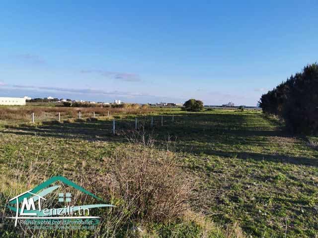 terrain 500 m² a Ain Grinz Kélibia