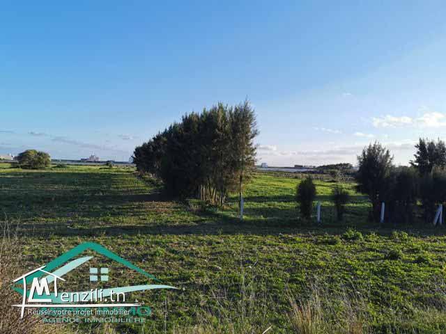 terrain 500 m² a Ain Grinz Kélibia