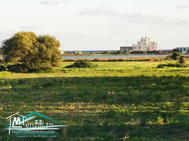 terrain 500 m² a Ain Grinz Kélibia