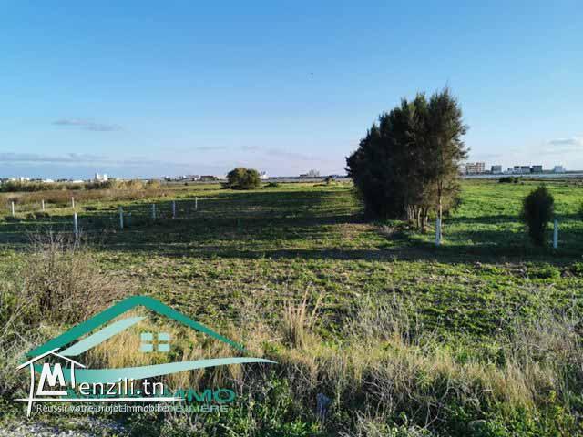 terrain 500 m² a Ain Grinz Kélibia