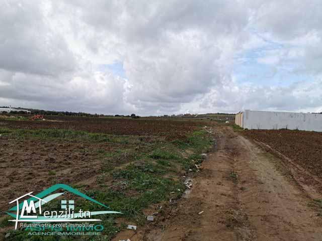 terrain 3392 m² à tamezrate kelibia