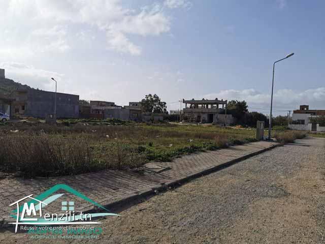 Lotissement  viabilisé a jinen el mansourah kelibia