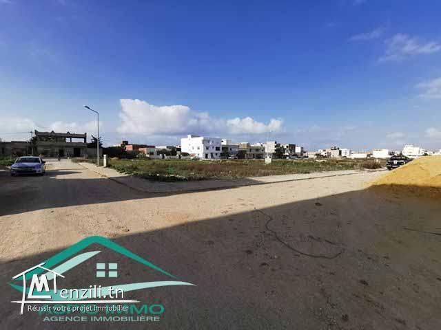 Lotissement  viabilisé a jinen el mansourah kelibia