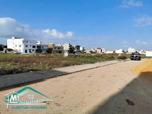 Lotissement  viabilisé a jinen el mansourah kelibia