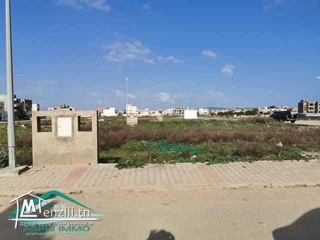 Lotissement  viabilisé a jinen el mansourah kelibia