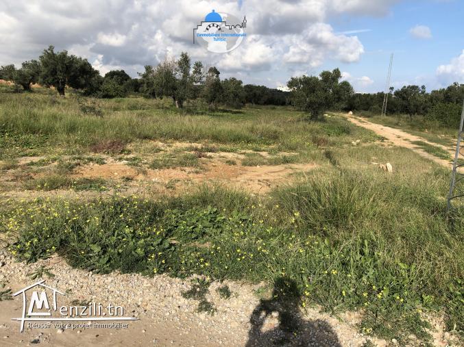 terrain à vendre akouda