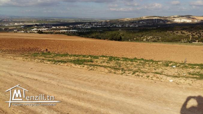 Terrain nu bien situé