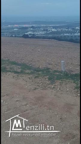 Terrain nu bien situé