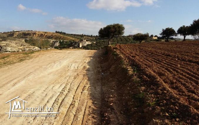 Terrain nu bien situé