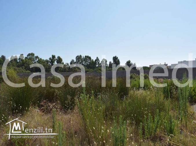 un terrain  a orix imbattable