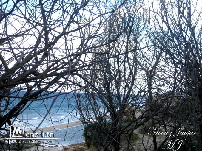 500 m2 bel emplacement