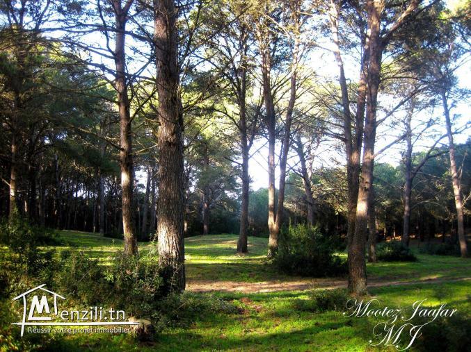 500 m2 bel emplacement