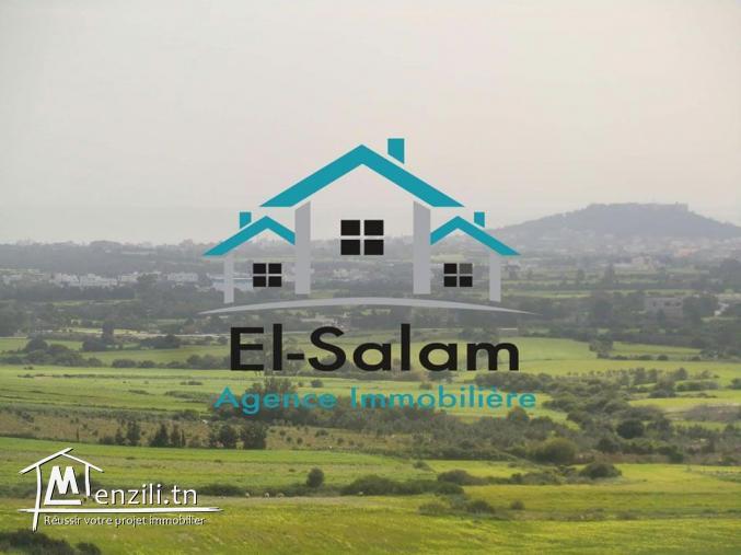 vu panoramique a la plage sur une coline