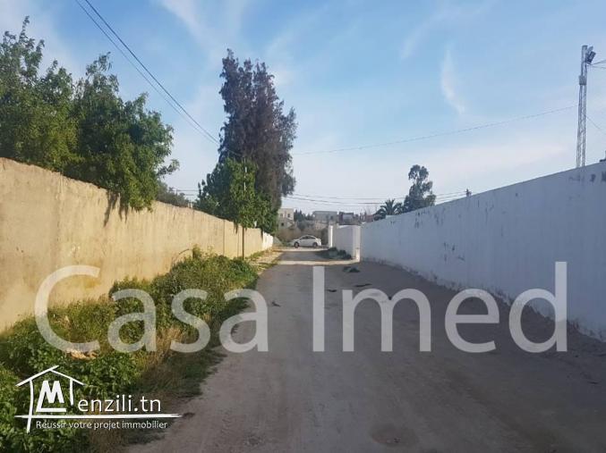 terrain à vendre à yakout el hamaoui la soukra