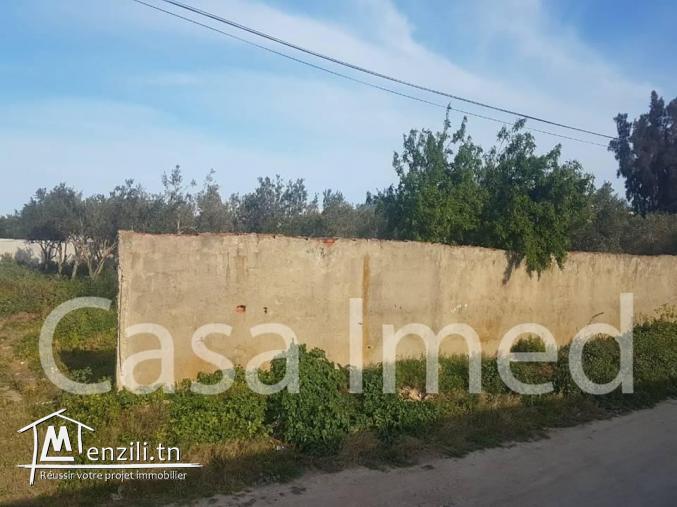 terrain à vendre à yakout el hamaoui la soukra