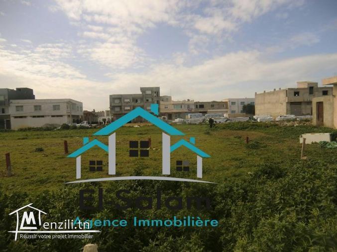 lot de terrain centre ville kelibia