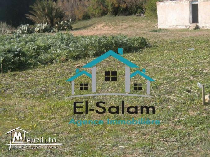 6 hectars avec un petit maison et un puit