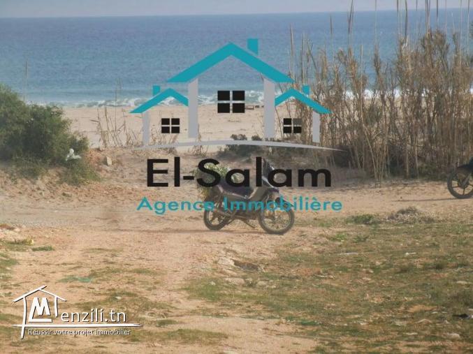 أرض للبيع عل بحر بشاطئ الهوارية رملة بيضاء