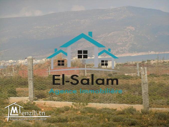 أرض للبيع عل بحر بشاطئ الهوارية رملة بيضاء