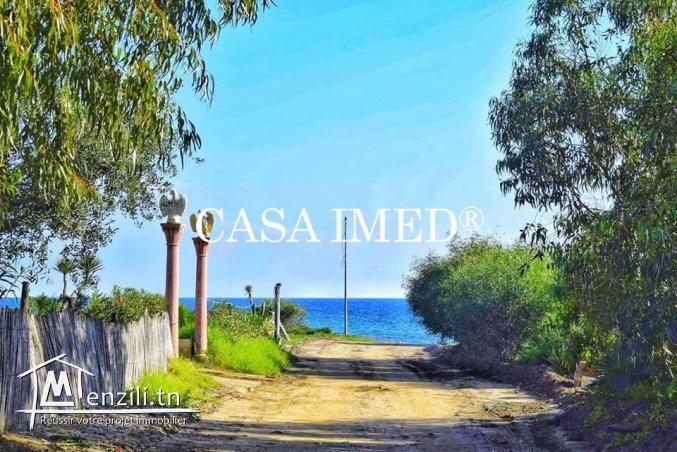 offre spécial a kelibia