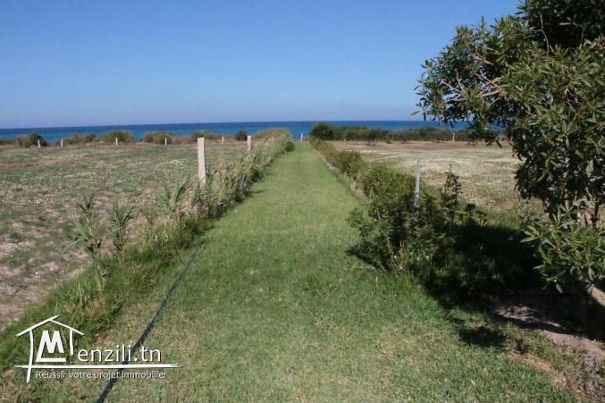 Villa Pieds dans l'eau sur terrain 6000 m2