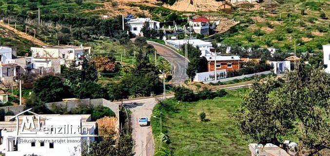 Av 4 lots de terrains viabilisés à 190 DT/m2