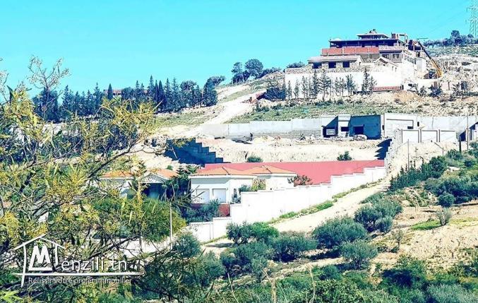 Av 4 lots de terrains viabilisés à 190 DT/m2