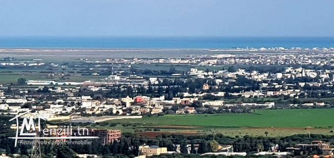 Av 4 lots de terrains viabilisés à 190 DT/m2