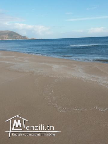 terrain a plage haouria