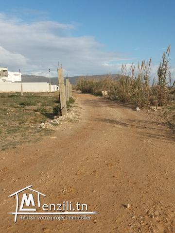 terrain a plage haouria