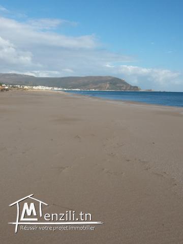 terrain a plage haouria
