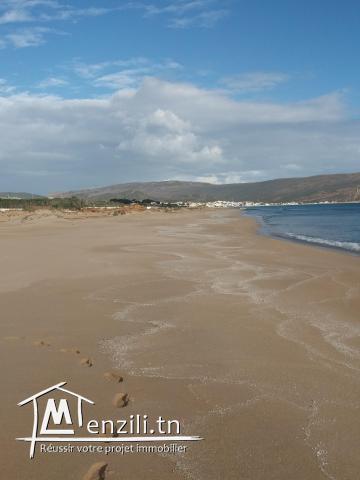 terrain a plage haouria