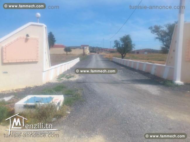 A vendre Terrain à Oued Elil