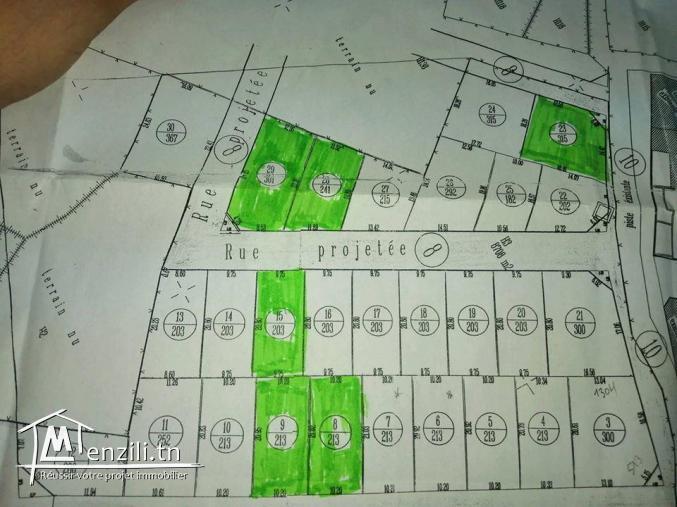 6 terrain à ouardanine