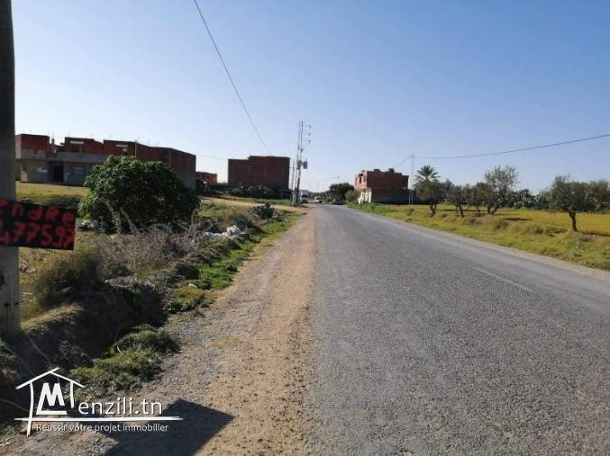 6 terrain à ouardanine