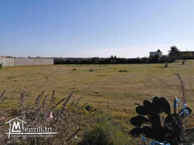 6 terrain à ouardanine