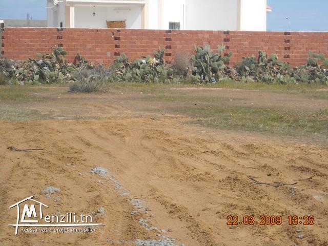 TERRAIN BONNE OCCASION AVEC TITRE FONCIER