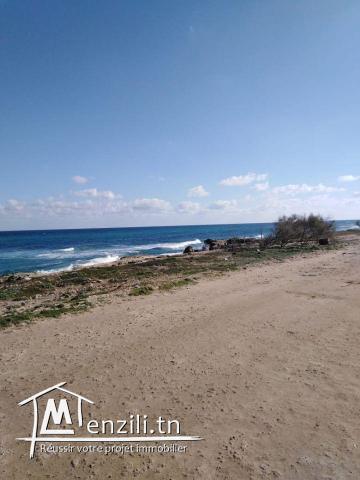 beau terrain de 170 m2