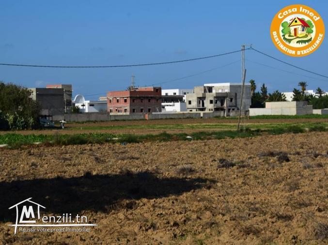 un terrain de 460 m2