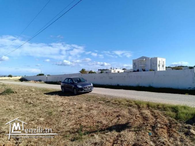 ارض للبيع في الحمامات دويخلة