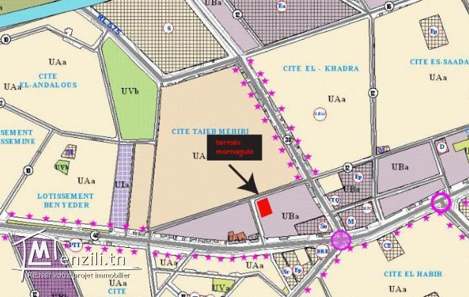 Terrain 1000m² à Morneguia centre constructible en R+4