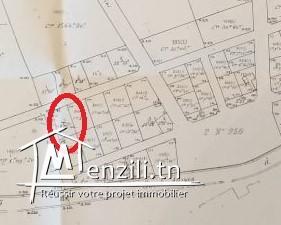 Terrain 1000m² à Morneguia centre constructible en R+4