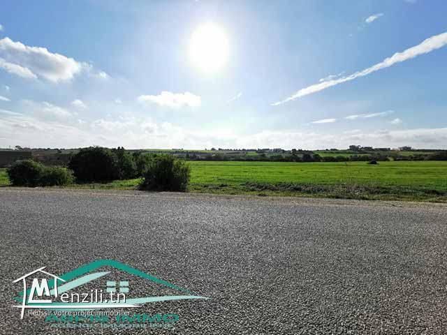 terrain agricole 27000 m² à tamezrat kelibia