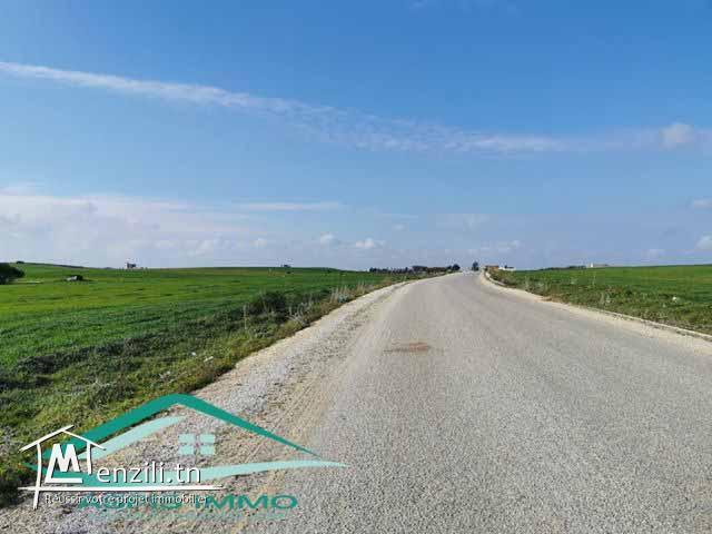 terrain agricole 27000 m² à tamezrat kelibia