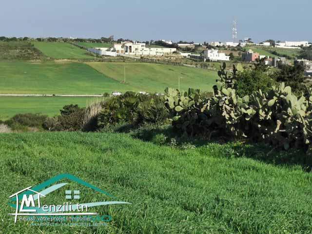 terrain agricole 27000 m² à tamezrat kelibia